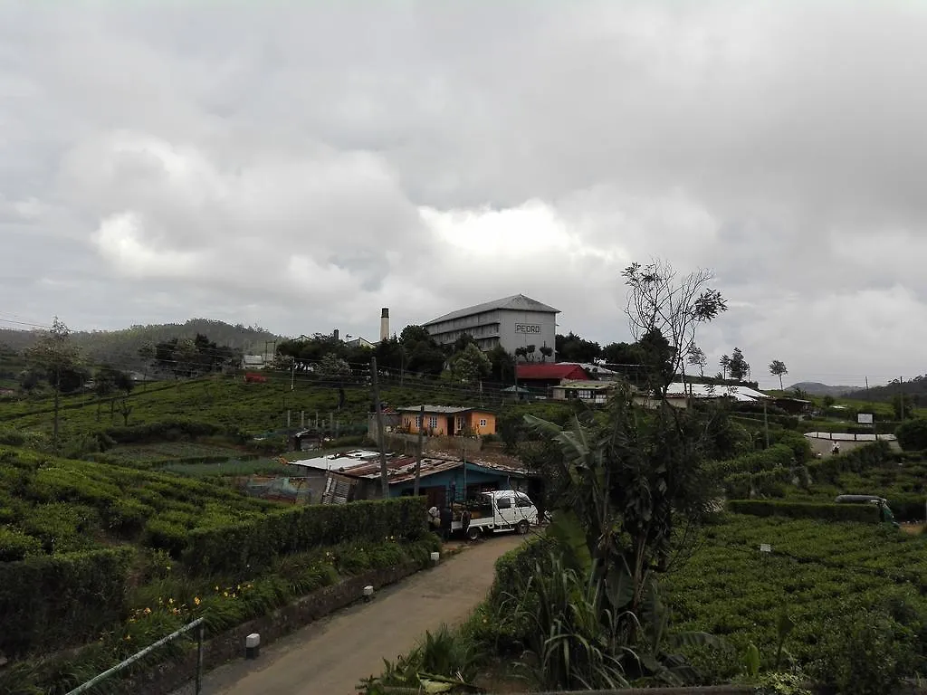 Pedro View Homestay Nuwara Eliya Sri Lanka