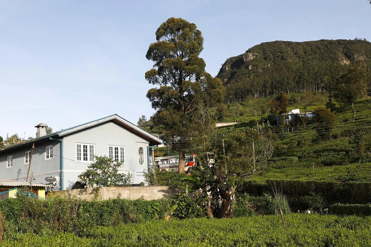 Pedro View Homestay Nuwara Eliya