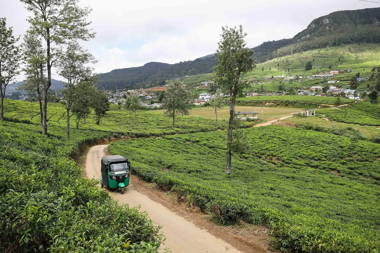 Pedro View Homestay Nuwara Eliya 0*,